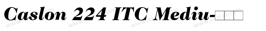 Caslon 224 ITC Mediu字体转换